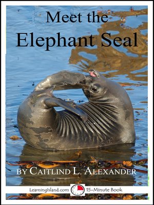 cover image of Meet the Elephant Seal